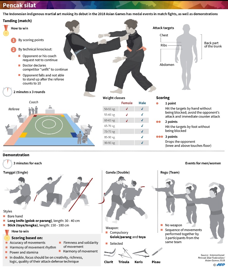 Bagian tubuh dari leher ke atas dan perut ke bawah tidak termasuk target sasaran dalam pencak silat.  AFP Graphic 