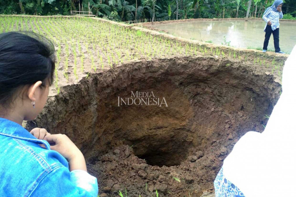 Lubang dengan diameter besar yang tiba-tiba muncul di persawahan Desa Sukamaju, Kecamatan Kadudampit, Kabupaten Sukabumi jadi tontonan warga sekitar dan dari luar kampung. Mereka penasaran dengan fenomena itu karena baru pertama kali terjadi.