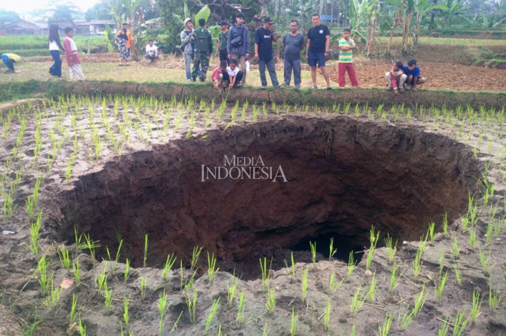 Kepala Desa Sukamaju, Hermawan, mengatakan bukan tanpa sebab amblesnya lahan sawah hingga membentuk lingkaran dan lubang. Dulunya, kata dia, di bawah lahan sawah itu bekas saluran air. 