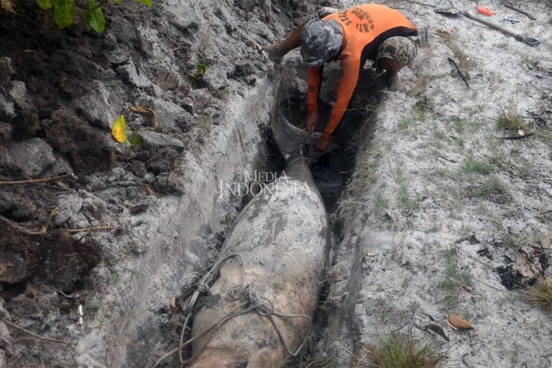 Dugong Ditemukan Mati di Pulau Rupat Utara - Medcom.id