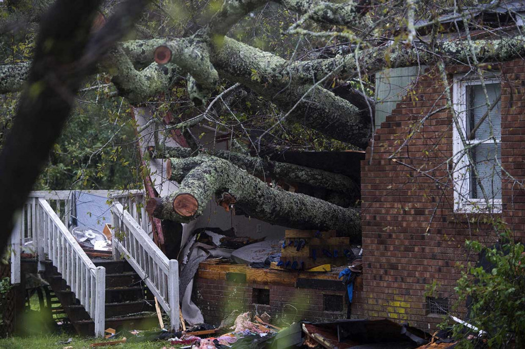 Pohon besar menimpa sebuah rumah di Wilmington, North Carolina, yang menewaskan seorang ibu dan bayinya, Jumat, 14 September 2018 waktu setempat. Ayah bayi tersebut dibawa ke rumah sakit.