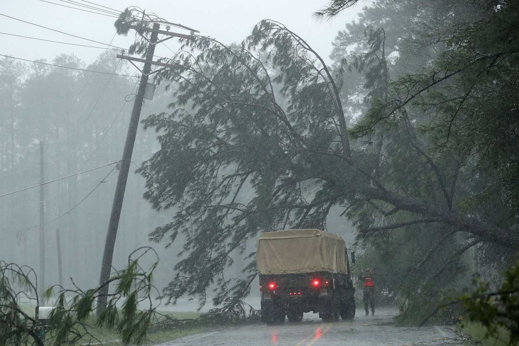 Florence juga menumbangkan pohon-pohon di Wilmington. Jalan-jalan yang menuju tersebut terhalang pohon-pohon yang tumbang.