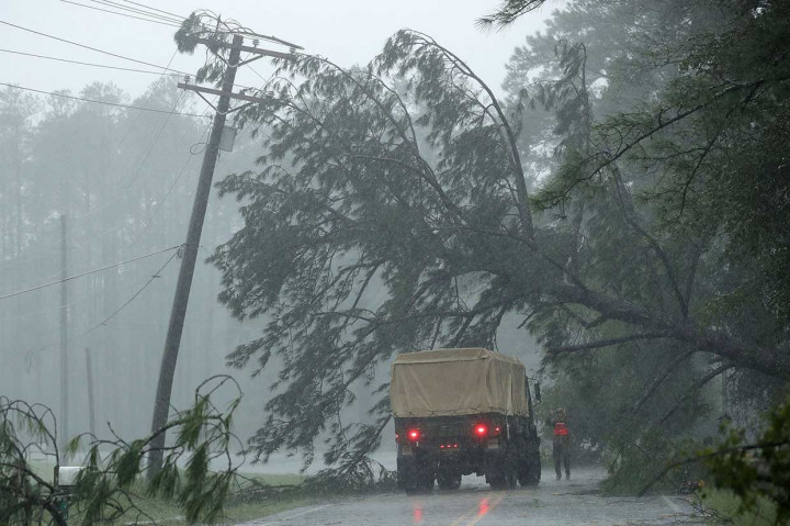 Florence juga menumbangkan pohon-pohon di Wilmington. Jalan-jalan yang menuju tersebut terhalang pohon-pohon yang tumbang.
