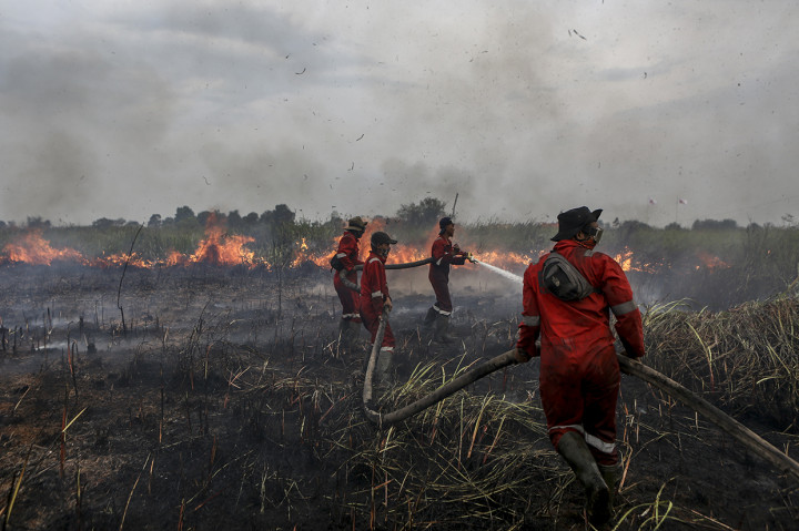 Luasnya lahan yang terbakar membuat petugas kesulitan untuk memadamkan kebakaran tersebut.