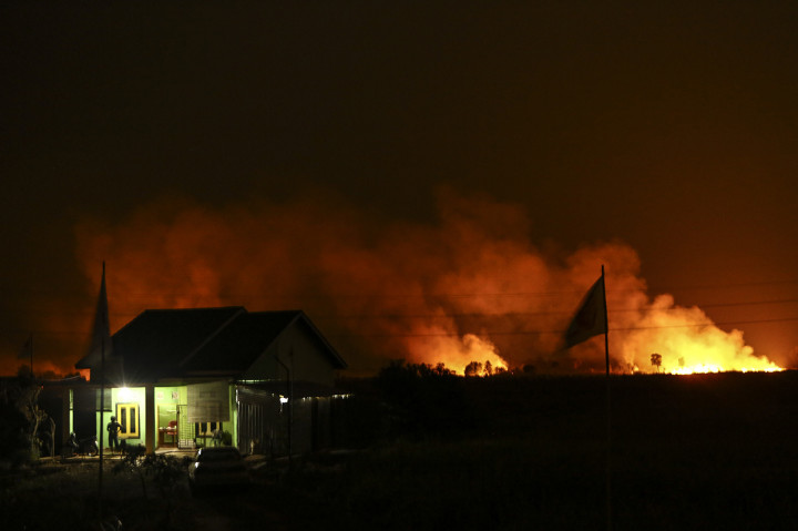 Api membakar lahan di Desa Soak Batok, Indralaya Utara, Ogan Ilir (OI), Sumatera Selatan. Tidak adanya akses dan sumber air membuat petugas kesulitan untuk melakukan pemadaman. 