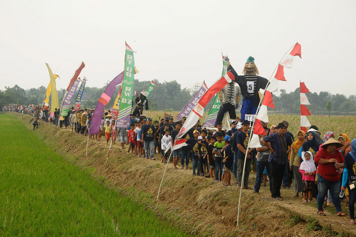 Kirab yang diikuti seribuan warga dengan mengarak 'memeden' sawah sembari membawa Ingkung atau ayam panggang utuh untuk kemudian dimakan bersama-sama itu sebagai wujud syukur kepada Tuhan YME atas hasil pertanian yang melimpah.