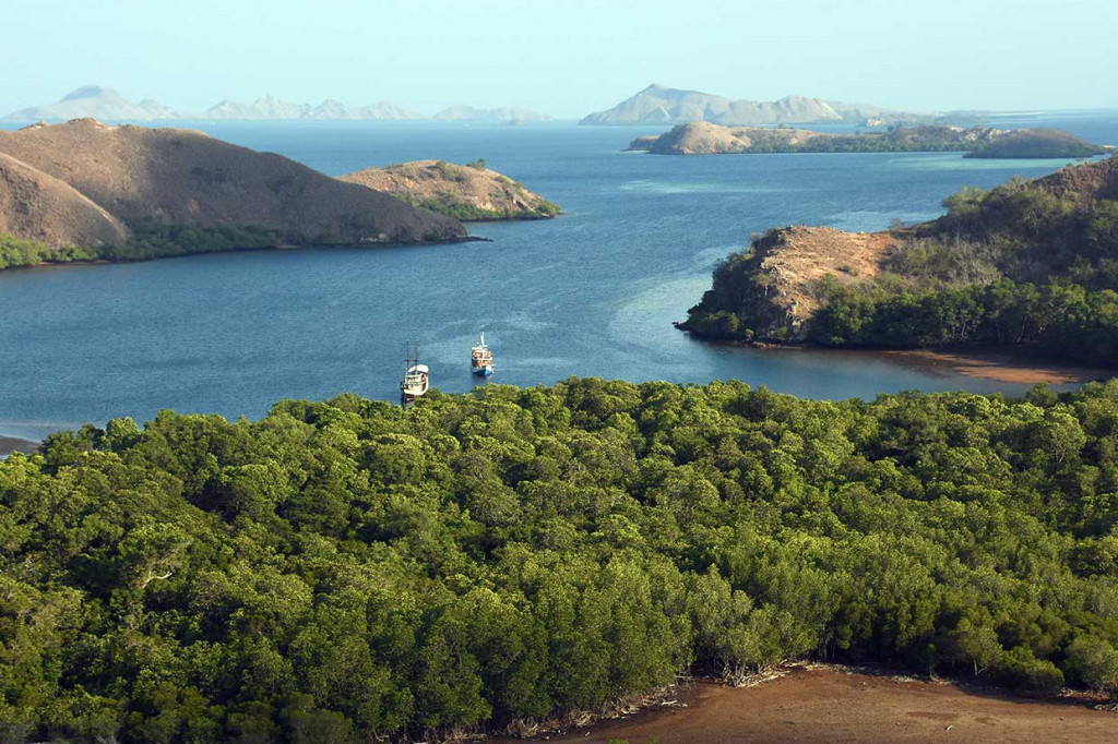 Pulau Rinca selain terkenal dengan komodonya yang termasuk dalam 7 keajaiban dunia, juga memiliki pemandangan dengan bentang alam yang indah memikat wisatawan.