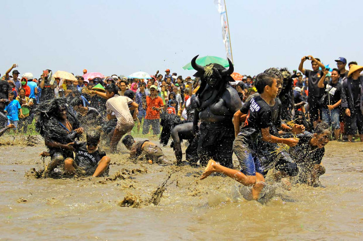 Setelah ritual tersebut selesai, para petani menyebarkan bibit padi dan secara serentak masyarakat masuk ke kubangan untuk mendapatkan bibit padi. Pada saat bersamaan, puluhan Kebo-keboan menghalangi para warga yang ingin mengambil bibit sehingga menjadi atraksi yang seru untuk ditonton.