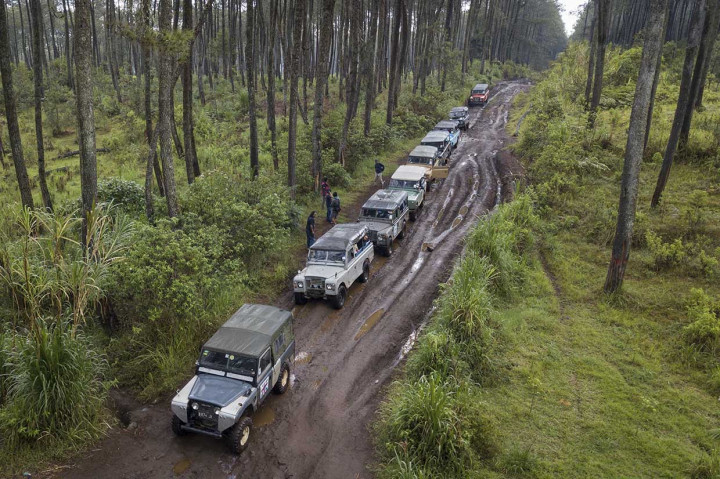 Sejumlah kendaraan 4x4 melewati hutan pinus saat membawa peserta untuk berwisata 