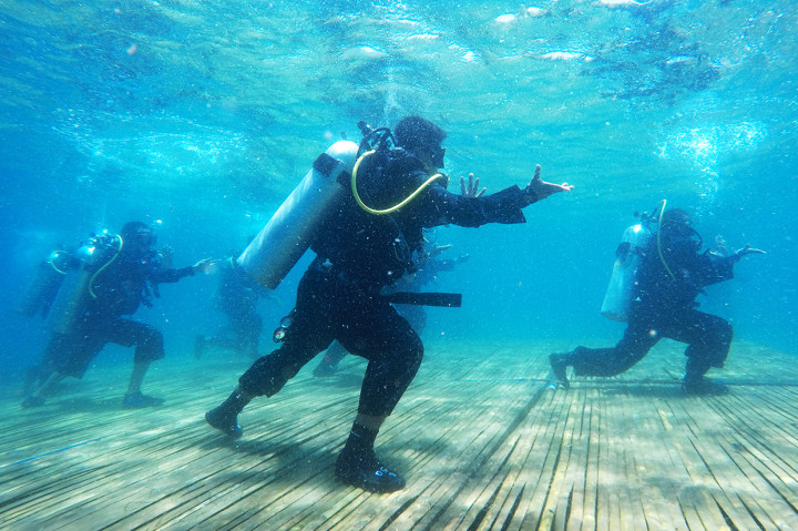 Pesilat beraksi di bawah laut di Pantai Bangsring, Banyuwangi, Jawa Timur.