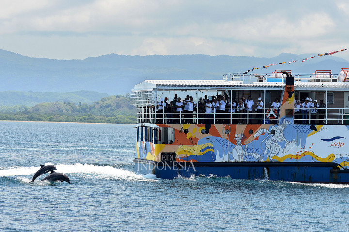 Sekawanan Lumba-Lumba mengiringi Kapal Motor Komodo yang membawa Menteri Negara BUMN Rini Soemarno saat berada di perairan Labuan Bajo, Nusa Tenggara Timur.