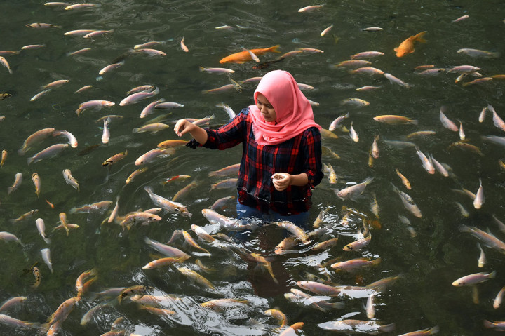 Di lokasi wisata tersebut pengunjung dapat menikmati bermacam permainan air, berenang, dan memberi makan ribuan ikan secara langsung.