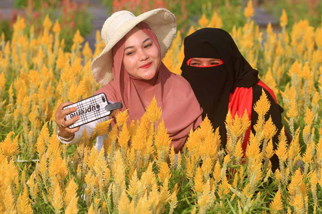 Pemilik taman bunga mengaku, taman bunga celocia seluas satu hektar yang baru dikelola sekitar empat bulan tersebut banyak dikunjungi wisatawan dari berbagai daerah setelah sempat viral di media sosial.
