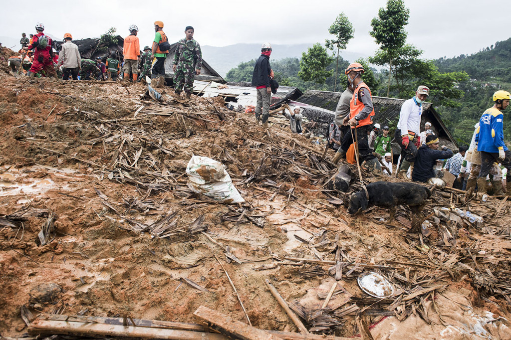 Petugas gabungan bersama anjing pelacak mencari korban yang tertimbun tanah longsor di kampung Cimapag, Desa Sirnaresmi, Kecamatan Cisolok, Kabupaten Sukabumi, Jawa Barat. Antara Foto/M Agung Rajasa