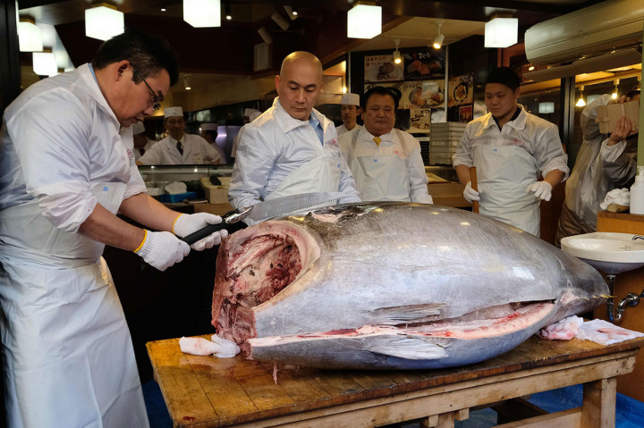 Ikan tuna sirip biru spesies yang terancam punah seberat 278 kg dan ditangkap di lepas pantai utara Jepang tersebut dibeli oleh Kimura dengan harga 333,6 juta yen atau sekitar Rp 44 miliar.