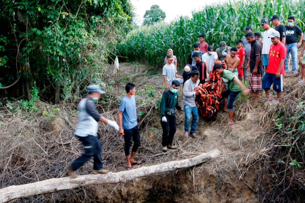 Orang utan Sumatra dewasa berkelamin jantan tersebut selanjutnya akan dilepasliarkan kembali ke habitatnya di kawasan Suaka Marga Satwa Rawa Singkil.