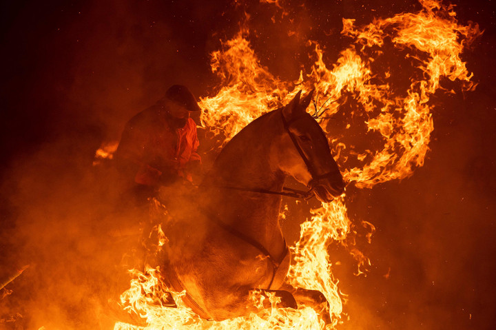 Luminaria merupakan tradisi tahunan yang diselenggarakan oleh warga Spanyol setiap tanggal 18 Januari. Dalam tradisi tersebut warga akan berkuda sambil menerobos api.