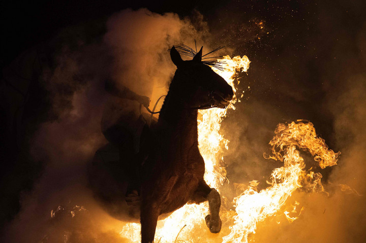 Tradisi ini diketahui telah berlangsung sejak 500 tahun yang lalu. Luminaria ini pun dilaksanakan untuk memurnikan hewan dan melindungi mereka selama satu tahun mendatang.