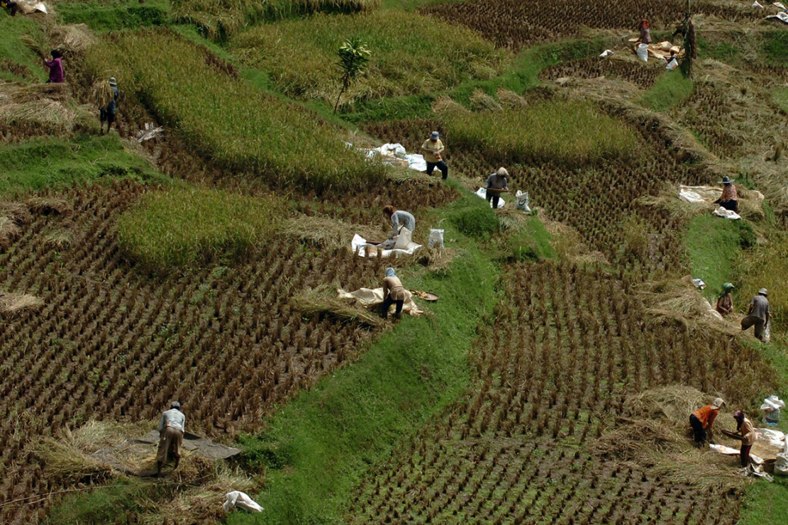 Merawat Tradisi di Kampung Naga