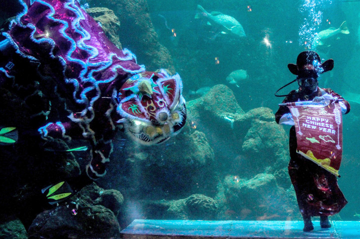 Pertunjukan Barongsai dalam air 'The Legend of 12 Shio' digelar di area akuarium utama SeaWorl setiap pukul 11.00 WIB dan 14.00 WIB.