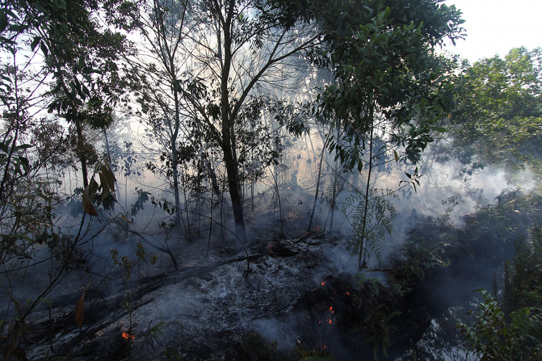 Api menjalar membakar semak belukar dan pepohonan akasia di kawasan hutan konservasi, Medang Kampai, Dumai, Riau, Minggu, 3 Februari 2019. 
