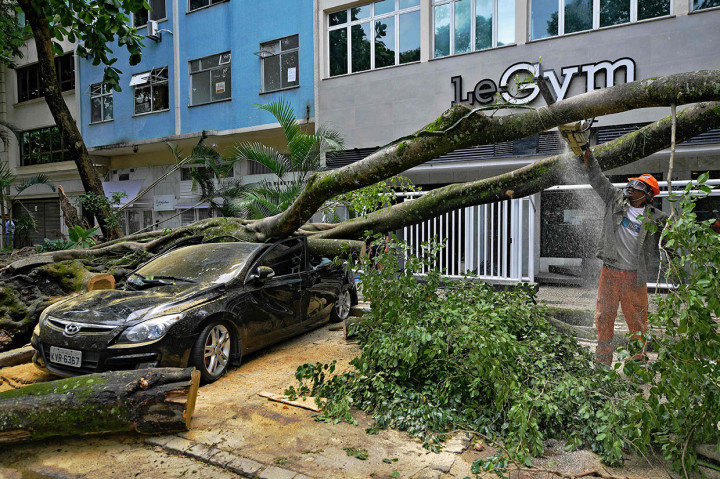 Badai dengan kecepatan sekitar 110 km/jam menumbangkan pepohonan dan tiang listrik.