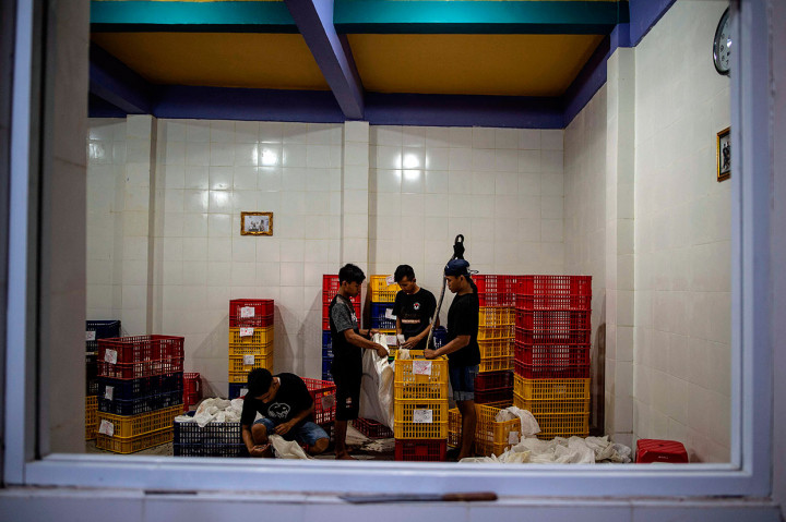 Ular-ular tersebut diekspor secara legal untuk memenuhi kebutuhan menu masakan di Negeri Tirai Bambu tersebut. 