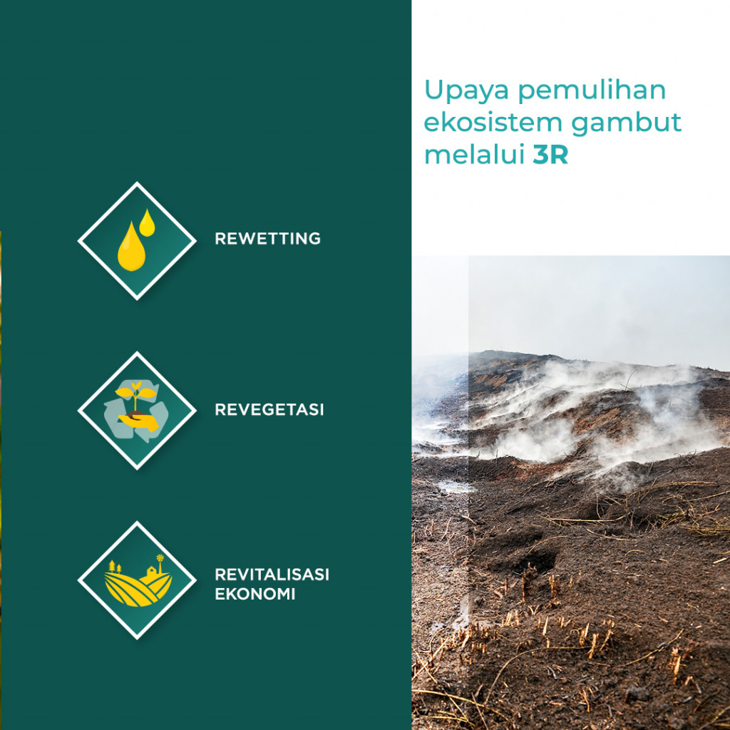 Tema Lingkungan Hidup dalam Debat Capres 2019