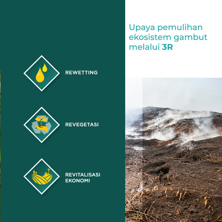 Tema Lingkungan Hidup dalam Debat Capres 2019