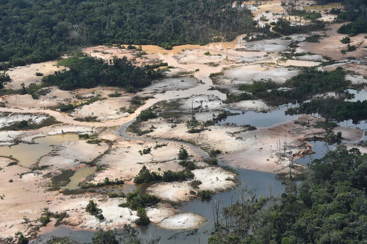 Begini kerusakan hutan Amazon di Madre de Dios, Peru. 
