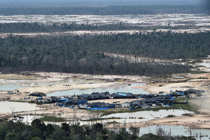 Kawasan hutan itu gundul akibat penambangan emas ilegal. 