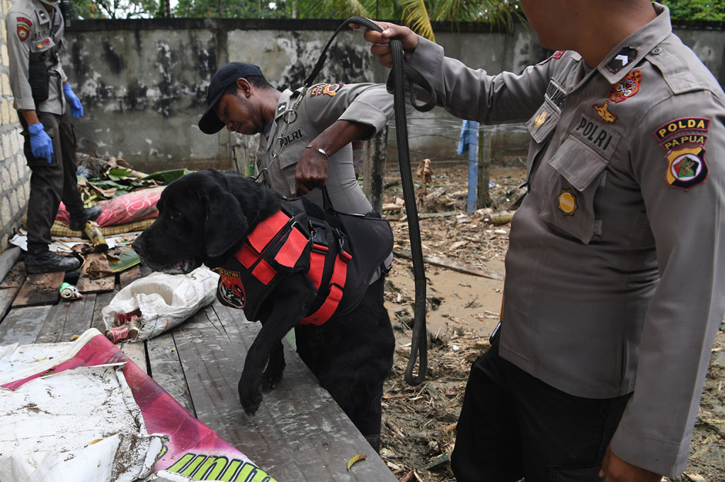 Polisi K9 mencari korban banjir bandang di reruntuhan bangunan di Kali Pos Tujuh, Sentani, Jayapura, Papua.