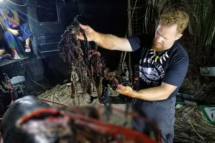 Direktur D' Bone Collector Museum Inc.,  Darrell Blatchley, menunjukkan plastik-plastik yang ditemukan dalam perut paus yang mati terdampar di pesisir Compostela Valley, Davao. Pulau Mindanao, Filipina selatan.