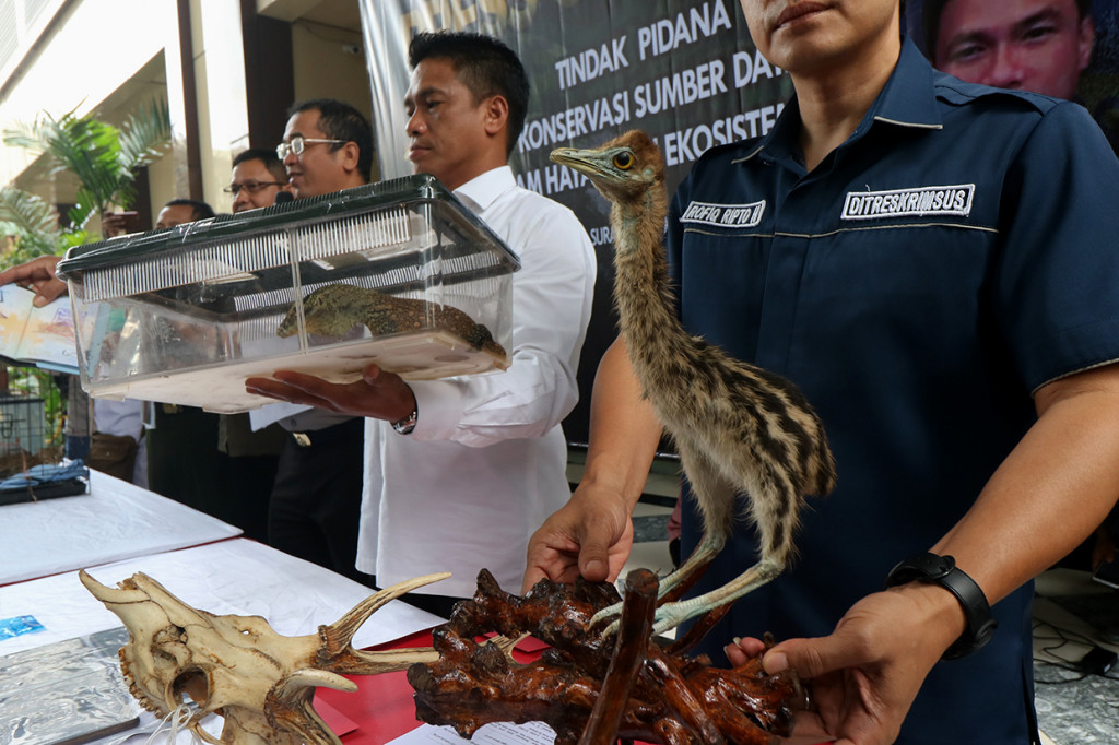 Jaringan ini diduga melakukan bisnis jual beli, bahkan sampai ke luar negeri. Hal ini terbukti dari paspor yang ditemukan oleh polisi. Antara Foto/Didik Suhartono