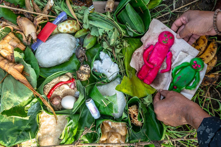 Petani menyiapkan sejumlah sesaji yang dipersembahkan kepala desa dalam tradisi 'Wiwitan Nandur Pari' di lahan pertanian Desa Mijen, Kebonagung, Demak.
