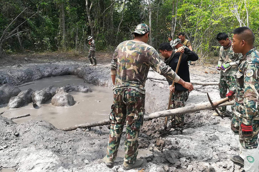 Petugas membutuhkan waktu sekitar 5 jam untuk menggali jalan secara manual untuk anak-anak gajah tersebut memanjat keluar.