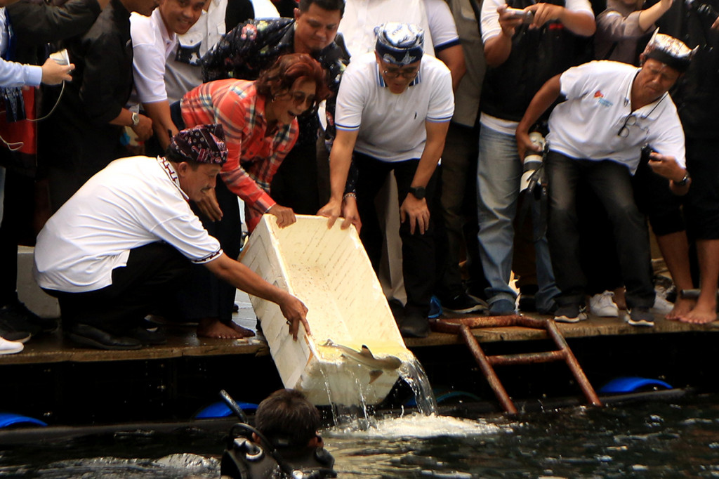 Saat di rumah apung, tiba-tiba Susi mengajak berolahraga paddleboarding. Susi mengayuh board-nya berputar mengelilingi rumah apung, lalu menuju dermaga. 