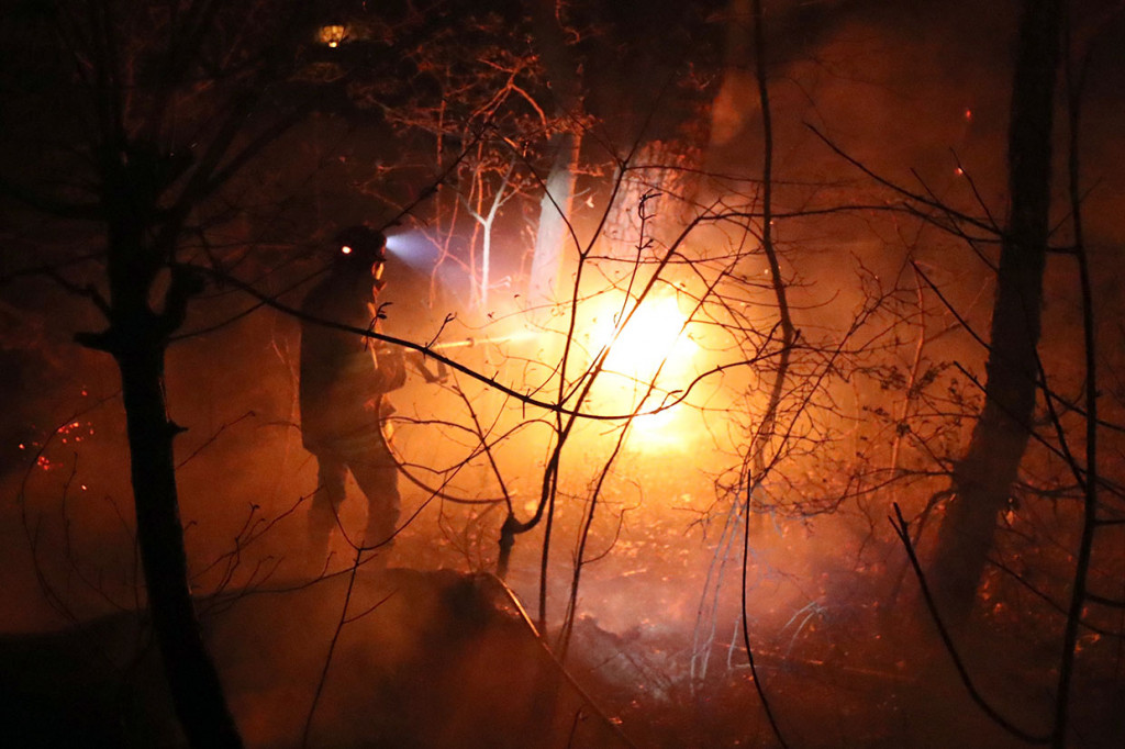 Menurut Kementerian Dalam Negeri dan Keselamatan, Presiden Moon Jae-in memberikan instruksi agar memanfaatkan semua sumber daya yang tersedia untuk memadamkan kebakaran hutan.   