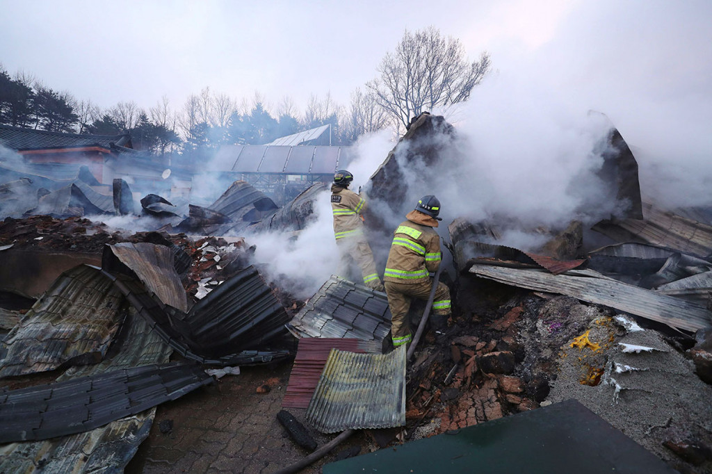 Pemerintah mengerahkan sekitar 45 helikopter, 77 unit pemadam kebakaran dan 13.000 personel dari seluruh negeri untuk mengatasi kebakaran tersebut. 