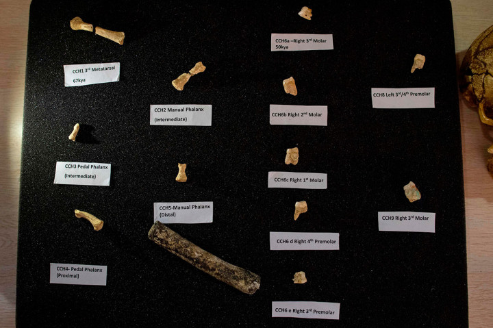 Penemuan yang diterbitkan dalam jurnal Nature pada Kamis tersebut menambah bukti yang berkembang bahwa evolusi manusia tidak linier seperti yang pernah diperkirakan. Ini juga menimbulkan pertanyaan, termasuk bagaimana spesies tersebut tiba di pulau itu dan siapa leluhurnya.