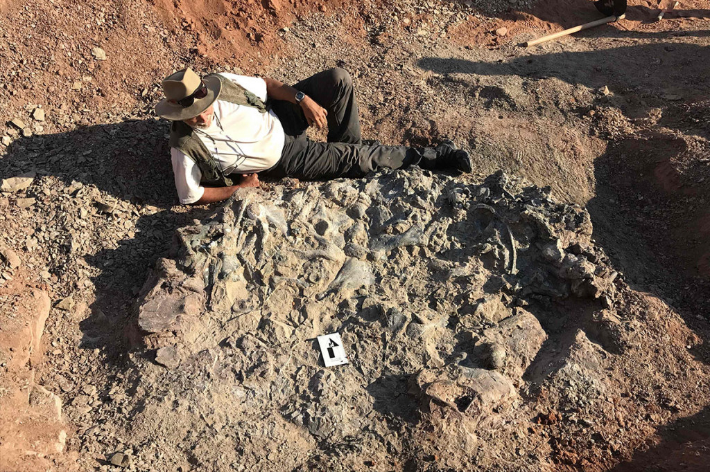 Sebenarnya situs itu ditemukan pada September tahun lalu di provinsi San Juan, sekitar 1.100 kilometer (680 mil) barat Buenos Aires. Situs ini berdiameter antara satu dan dua meter dan dengan kedalaman yang sama. Para ilmuwan berspekulasi lokasi itu adalah bekas kubangan air pada saat kekeringan hebat, dan makhluk itu mati kehausan.