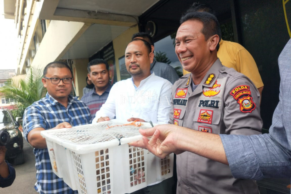 Para pelaku perdagangan hewan dilindungi ini bisa dikenakan Pasal 40 ayat 2 junto pasal 1 ayat 2/1990 tentang konservasi SDA dan hayati,dengan ancaman penjara selama lima tahun. Hanya saja SI yang sudah dijadikan tersangka, tidak ditahan oleh polisi. Hal itu dikarenakan tersangka merupakan ibu rumah tangga yang memiliki bayi dan masih menyusui.