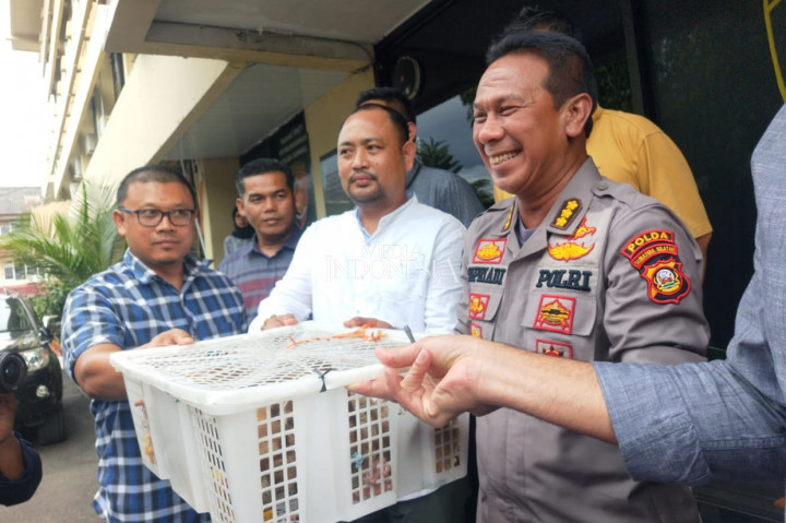 Para pelaku perdagangan hewan dilindungi ini bisa dikenakan Pasal 40 ayat 2 junto pasal 1 ayat 2/1990 tentang konservasi SDA dan hayati,dengan ancaman penjara selama lima tahun. Hanya saja SI yang sudah dijadikan tersangka, tidak ditahan oleh polisi. Hal itu dikarenakan tersangka merupakan ibu rumah tangga yang memiliki bayi dan masih menyusui.