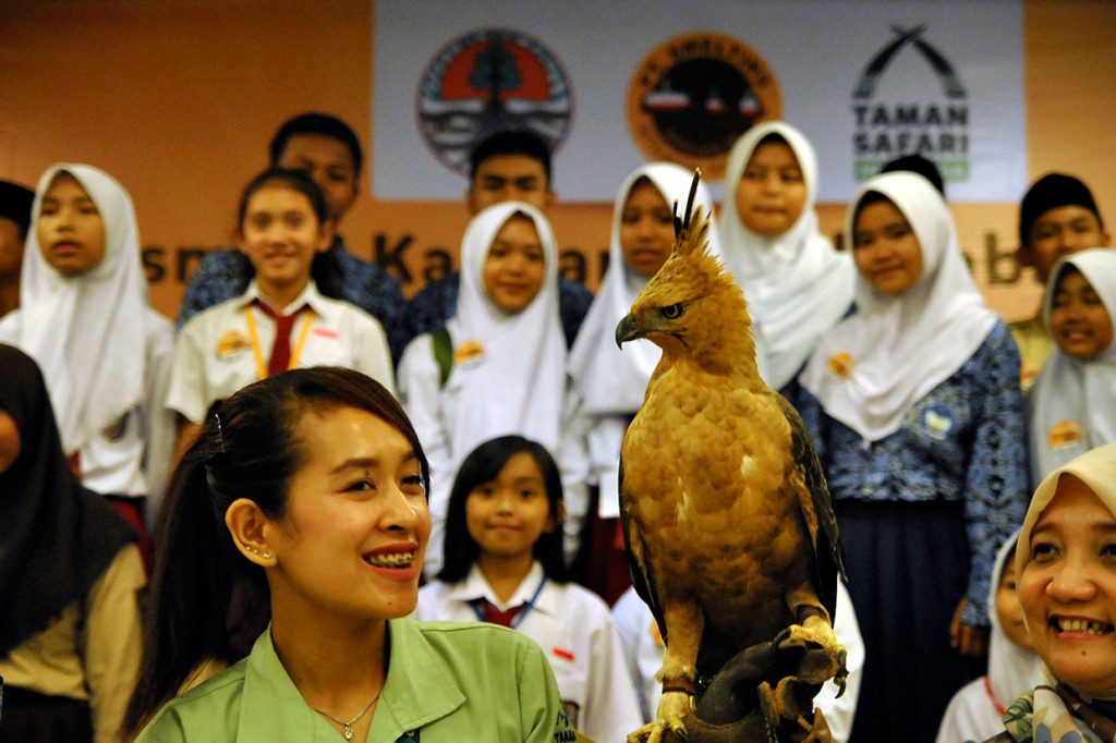 TSI bekerja sama dengan PT Smelting melakukan program konservasi elang jawa mulai dari pembangunan kandang perkembangbiakan, pengembangbiakan, program edukasi kepada masyarakat hingga pelepasliaran kembali ke alamnya.