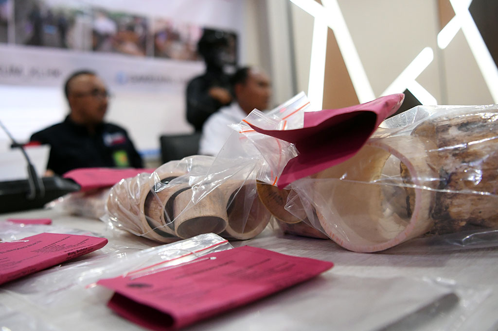 Para pelaku kejahatan perdagangan ilegal gading gajah akan dikenai hukuman pidana berdasarkan Pasal 40 Ayat 2 Jo. Pasal 21 Ayat (2) huruf d, Undang-Undang Nomor 5 Tahun 1990 tentang Konservasi Sumber Daya Alam Hayati dan Ekosistemnya, dengan ancaman pidana penjara paling lama 5 (lima) tahun dan denda paling banyak Rp100 juta.