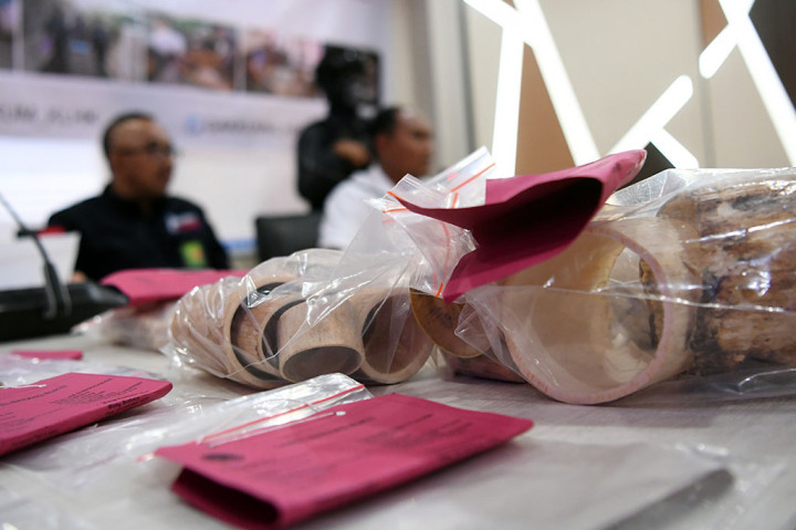 Para pelaku kejahatan perdagangan ilegal gading gajah akan dikenai hukuman pidana berdasarkan Pasal 40 Ayat 2 Jo. Pasal 21 Ayat (2) huruf d, Undang-Undang Nomor 5 Tahun 1990 tentang Konservasi Sumber Daya Alam Hayati dan Ekosistemnya, dengan ancaman pidana penjara paling lama 5 (lima) tahun dan denda paling banyak Rp100 juta.