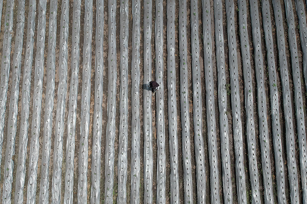 Petani berada di lahan pertanian yang terdampak hujan abu Gunung Kerinci di Desa Tanjung Bungo, Kayu Aro, Kerinci, Jambi.