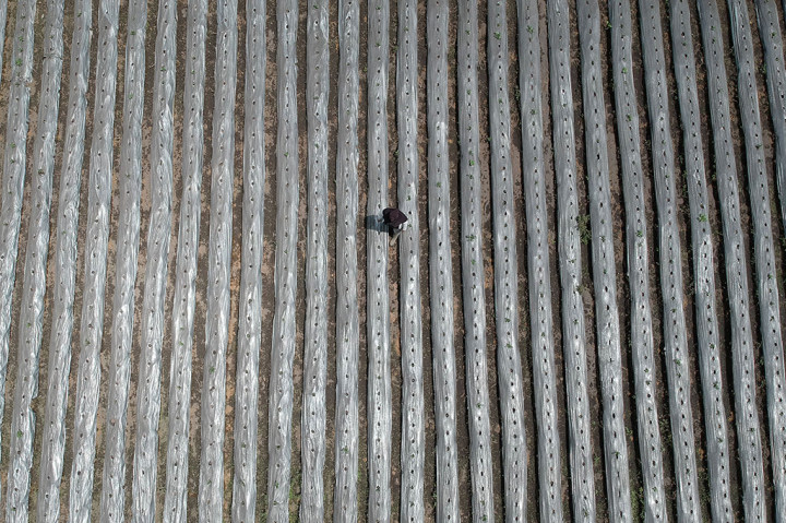 Petani berada di lahan pertanian yang terdampak hujan abu Gunung Kerinci di Desa Tanjung Bungo, Kayu Aro, Kerinci, Jambi.