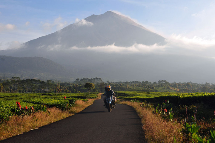 Petugas PVMBG Pos Pengamatan Gunung Api Kerinci mengeluarkan larangan pendakian pada radius 3 km dari kawah aktif Gunung Kerinci dan merekomendasikan jalur penerbangan untuk menghindari kawasan sekitar gunung tertinggi di Sumatera itu karena masih memiliki potensi letusan abu. 
