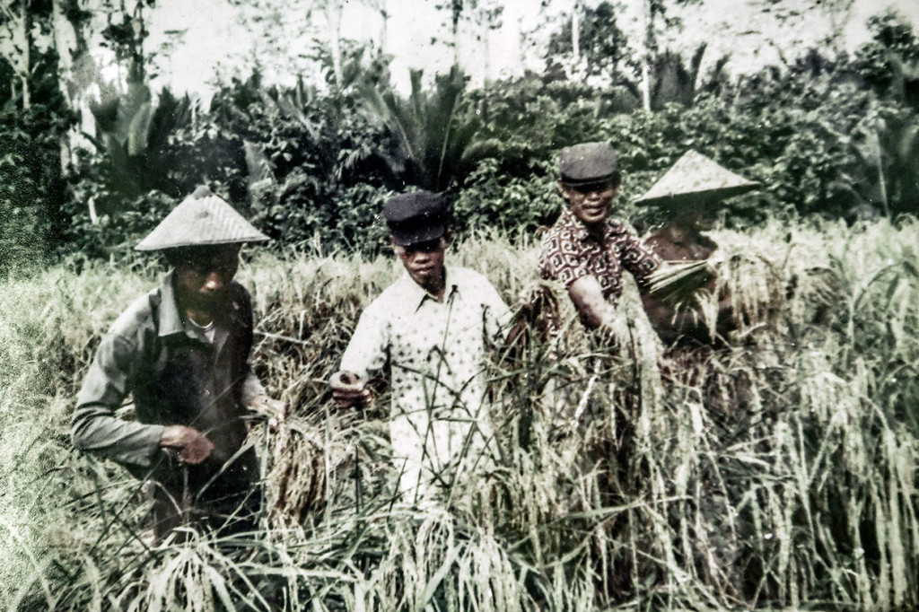 Selama menjalani kerja paksa, para tahanan politik pun kerap mendapatkan kekerasan dari tentara yang mengawasi mereka selama bekerja di unit masing-masing. “Boleh dibilang Pulau Buru ini dibangun dengan keringat dan air mata tahanan politik sehingga Buru kini telah menjadi lumbung padi di kawasan Indonesia Timur,” tutur Solikhin yang memilih hidup di Savana Jaya.